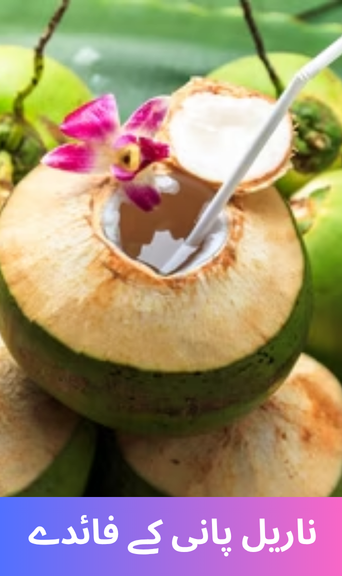 Which Vitamins Does the Body Receive from Drinking Coconut Water?